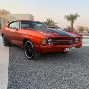 1967 Ford Mustang Fastback